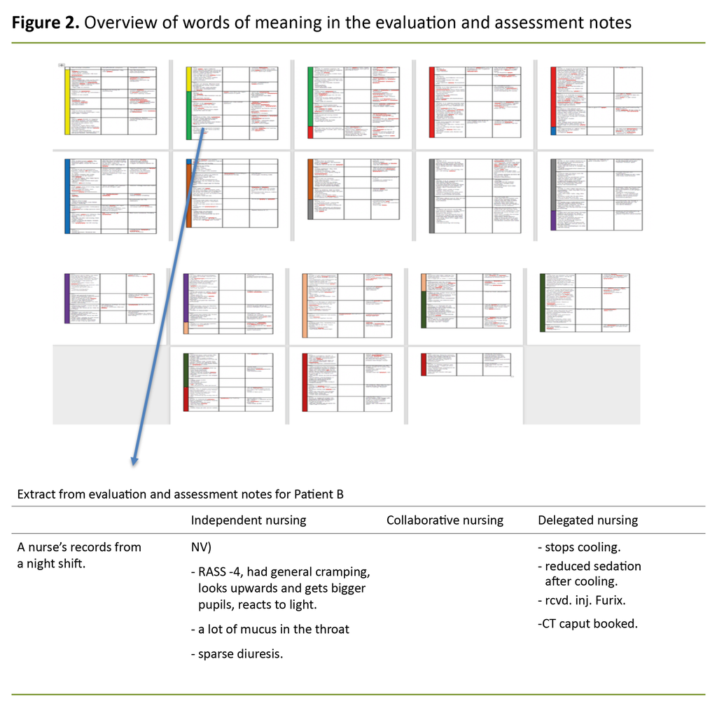 Figure 2. Overview of words of meaning in the evaluation and assessment notes