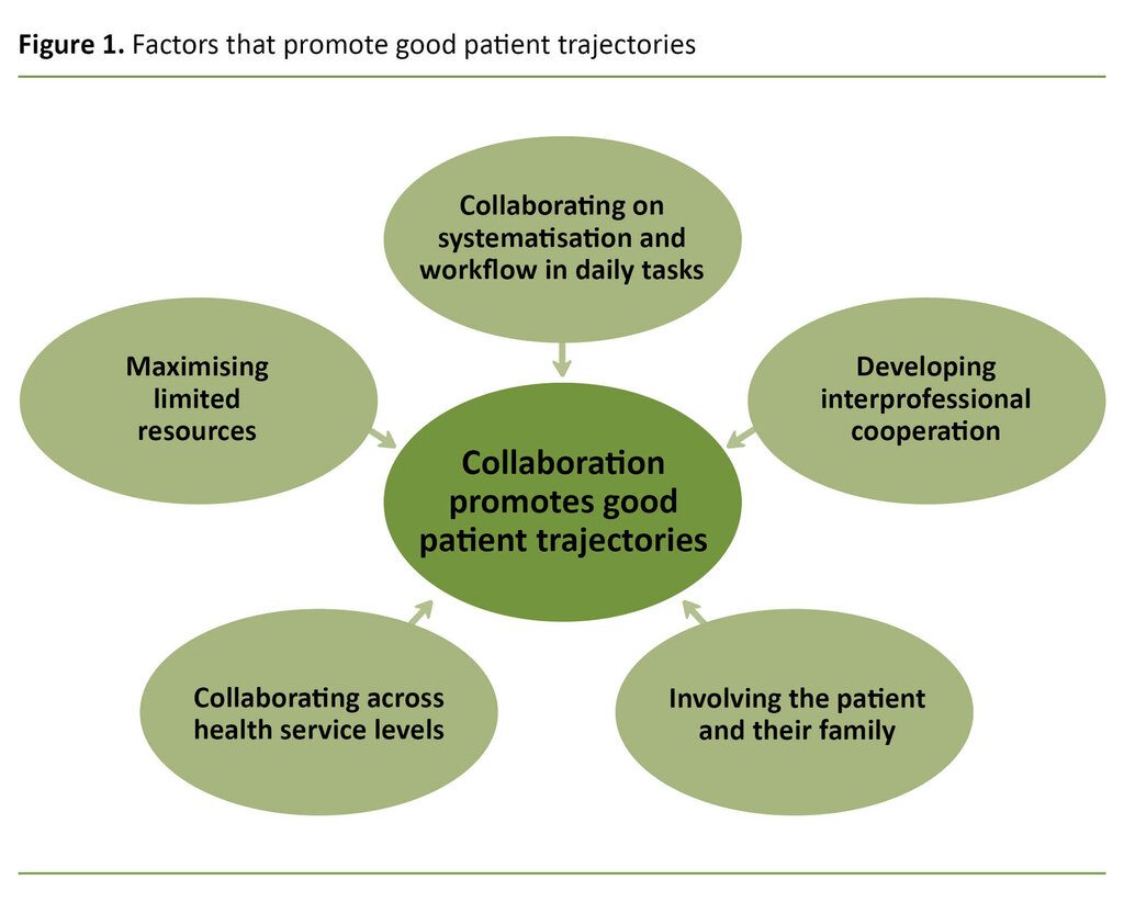 Figure 1. Factors that promote good patient trajectories 