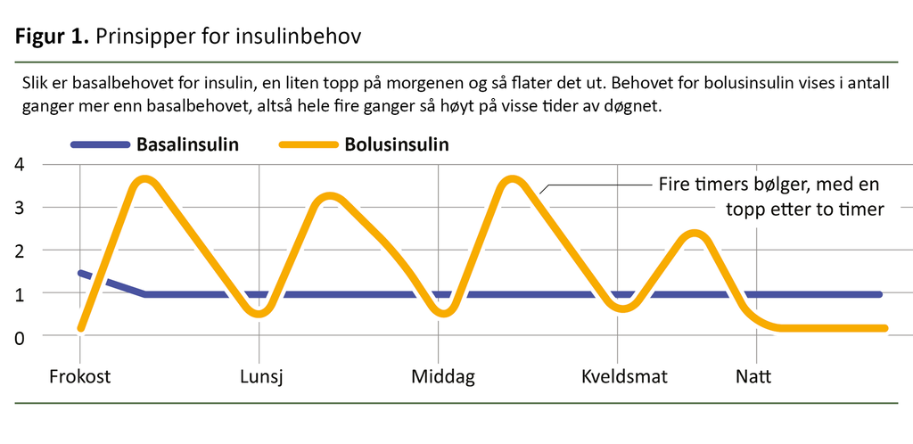 Figur 1. Prinsipper for insulinbehov