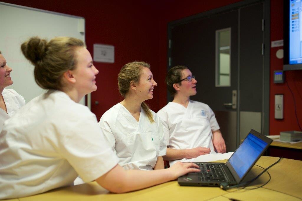Bildet viser en gruppe studenter fra Høgskolen i Innlandet som samarbeider om å dokumentere i pasientjournalsystemet Gerica
