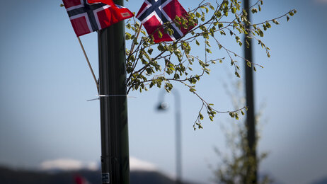 Bildet viser to norske flagg og bjørkekvister