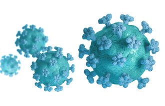 Bildet viser koronavirus.