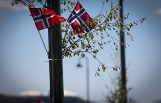 Bildet viser to norske flagg og bjørkekvister