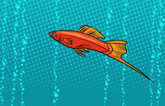 Bildet viser en svømmende fisk i vannet i tegneseriestil.