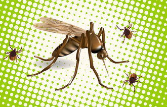 Illustrasjonen viser mygg og flått.