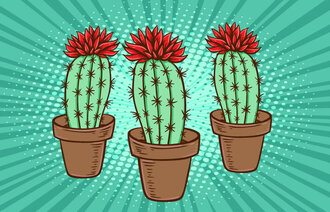 Illustrasjonen viser tre kaktuser.