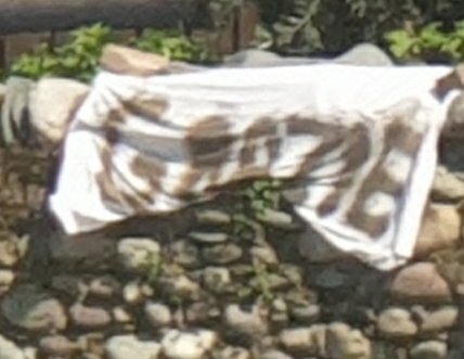 Bildet viser et banner der det står "grazie".