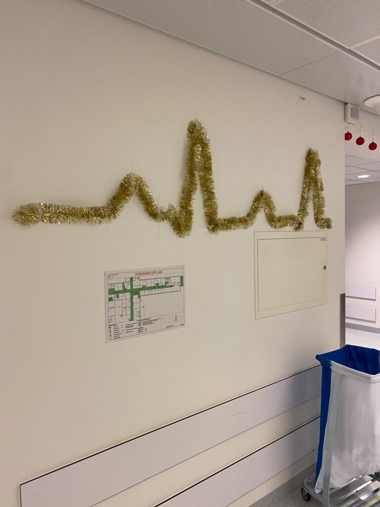 Bildet viser en vegg som er pyntet med glitterlenker formet som en hjerterytme.