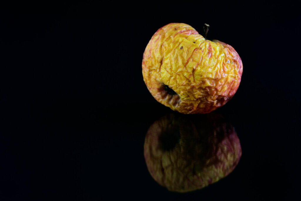 Bildet viser et gammelt skrukkete eple på sort bakgrunn