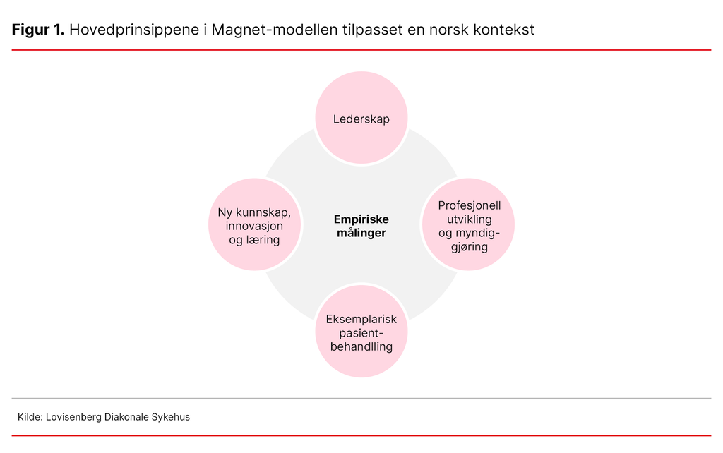 Figur 1. Hovedprinsippene i Magnet-modellen tilpasset en norsk kontekst 