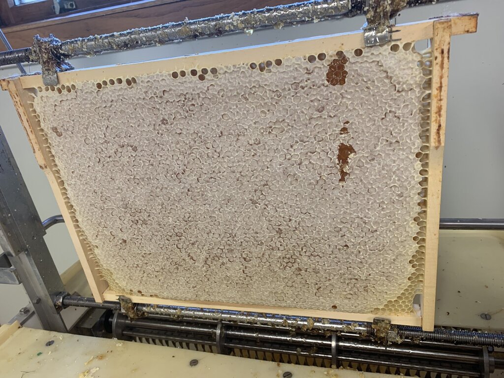 honningramme klar til å slynges
