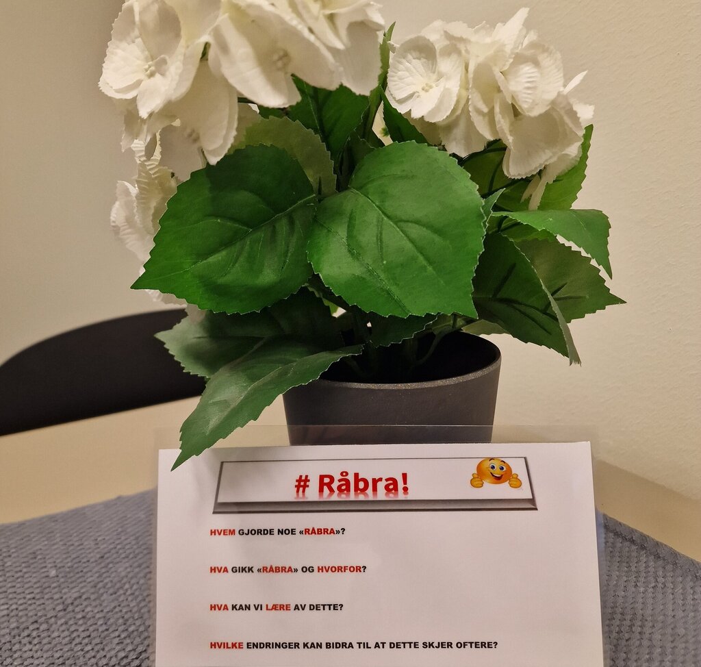 Bilde viser en blomst med en oppstilt lapp som beskriver #Råbra