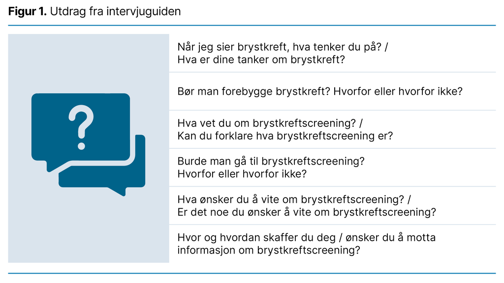 Figur 1. Utdrag fra intervjuguiden 