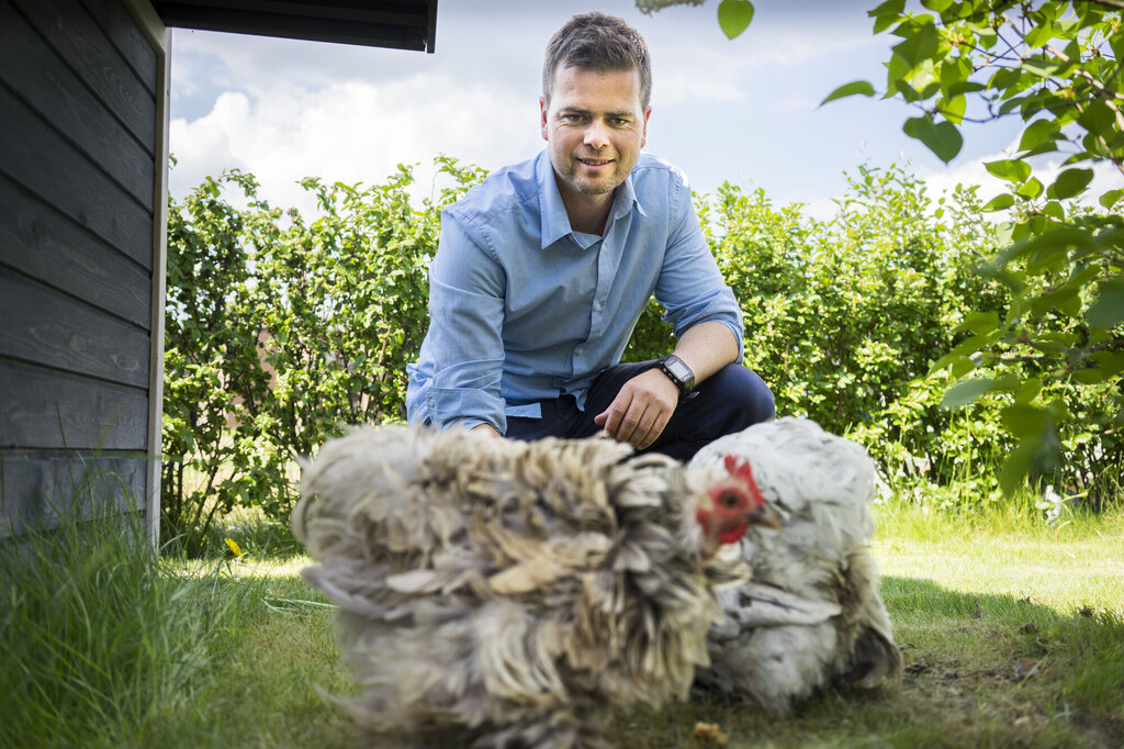 Bildet viser Martin Ytreland som mater høner