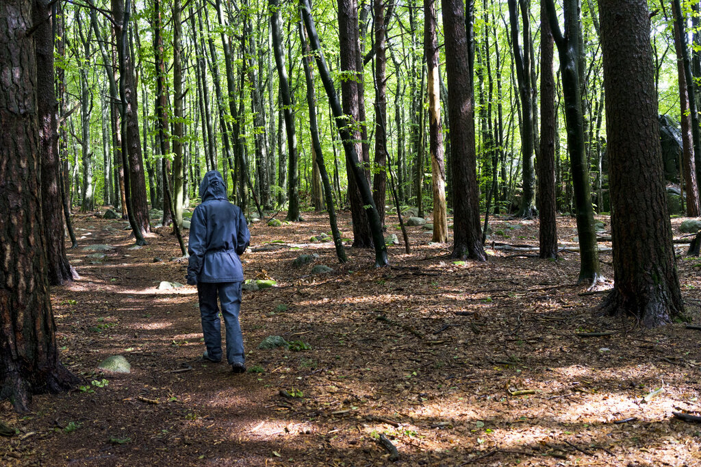 Bildet viser Anna gå i skogen