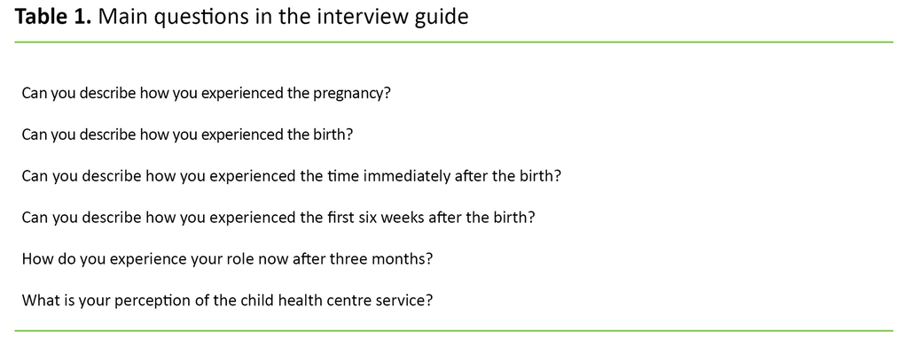 Table 1. Main questions in the interview guide