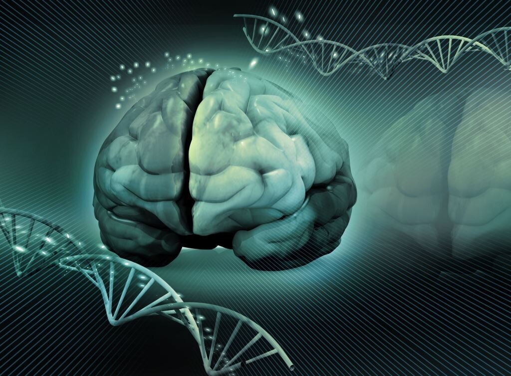 Bildet viser en illustrasjon av en hjerne og dna