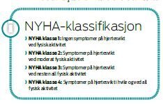 nyha klassifikasjon.jpg