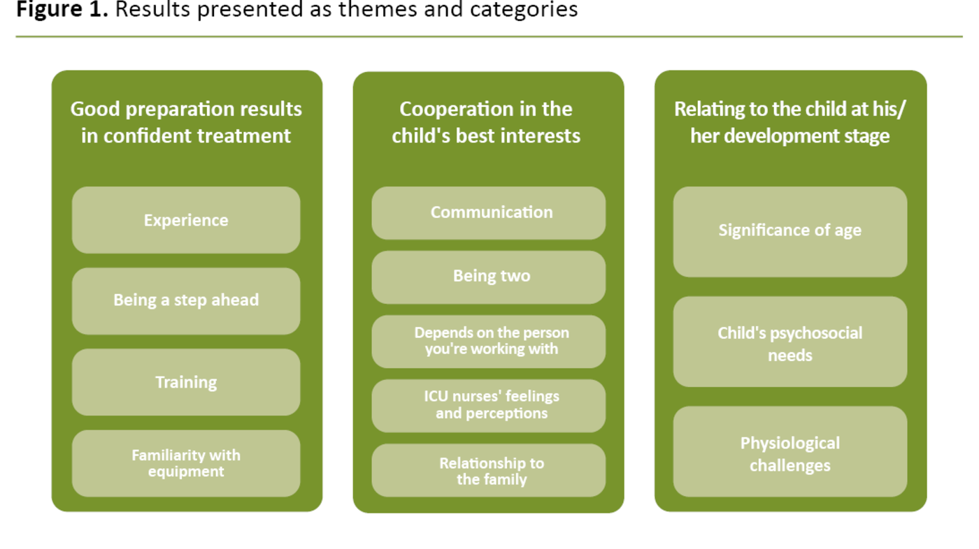 Figure 1. Results presented as themes and categories