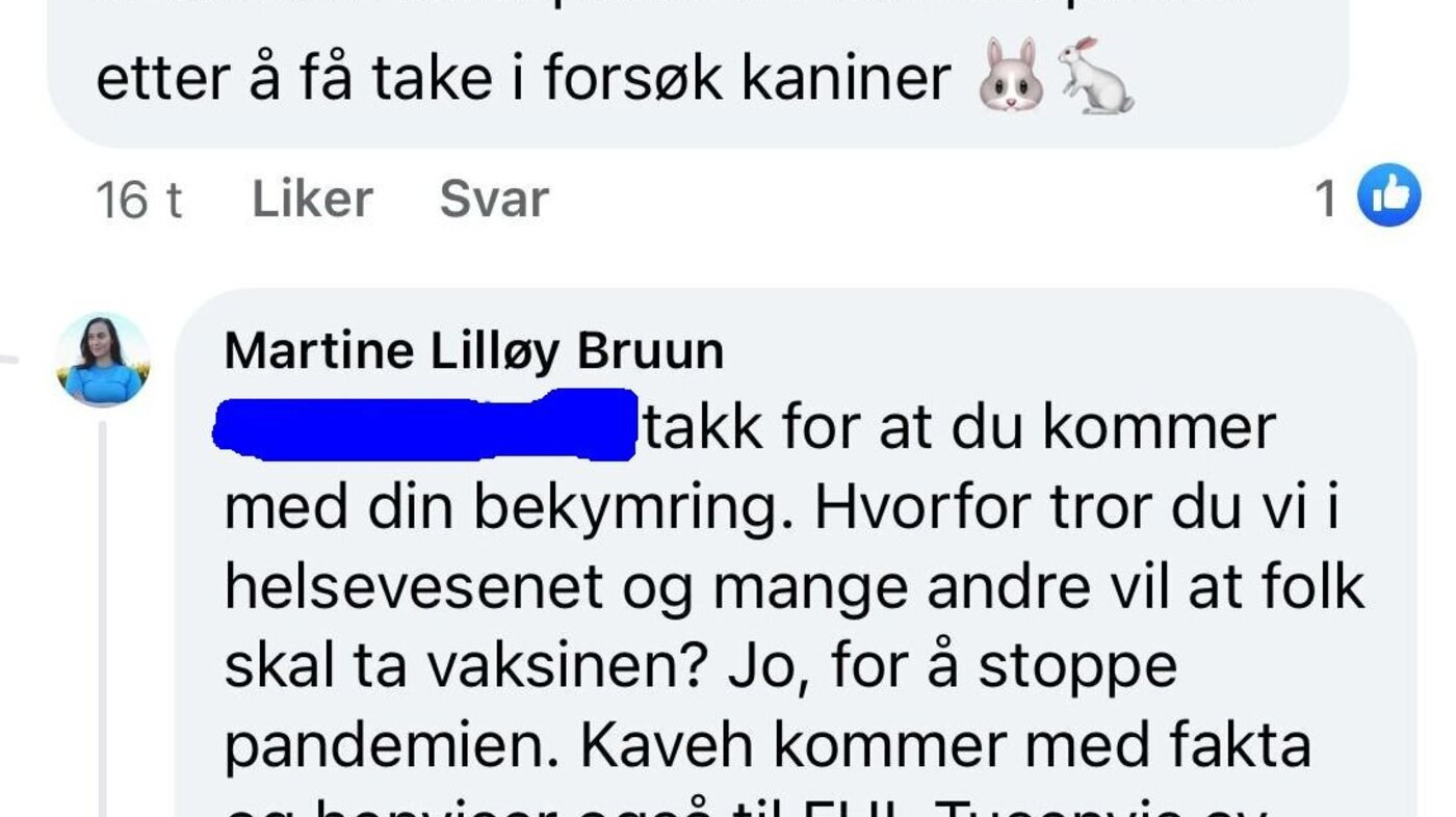 skjermdump Skjermdumå