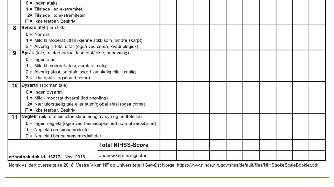 Figure 1. Validated Norwegian NIHSS form 