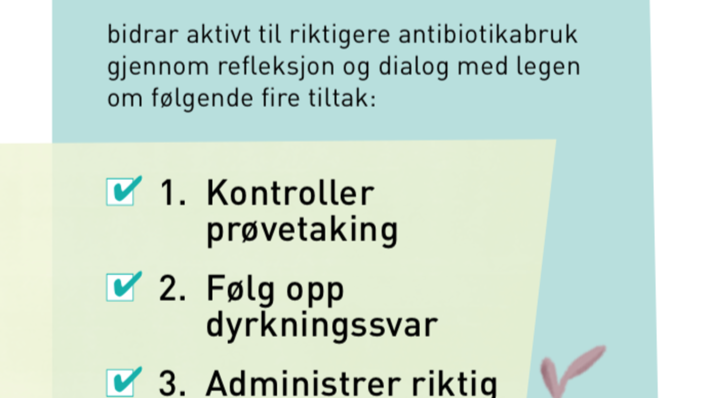 antibiotikasmart sykepleier, sykepleierkort Bildet viser et kort der det står fire huskeregler til sykepleiere om antibiotika.