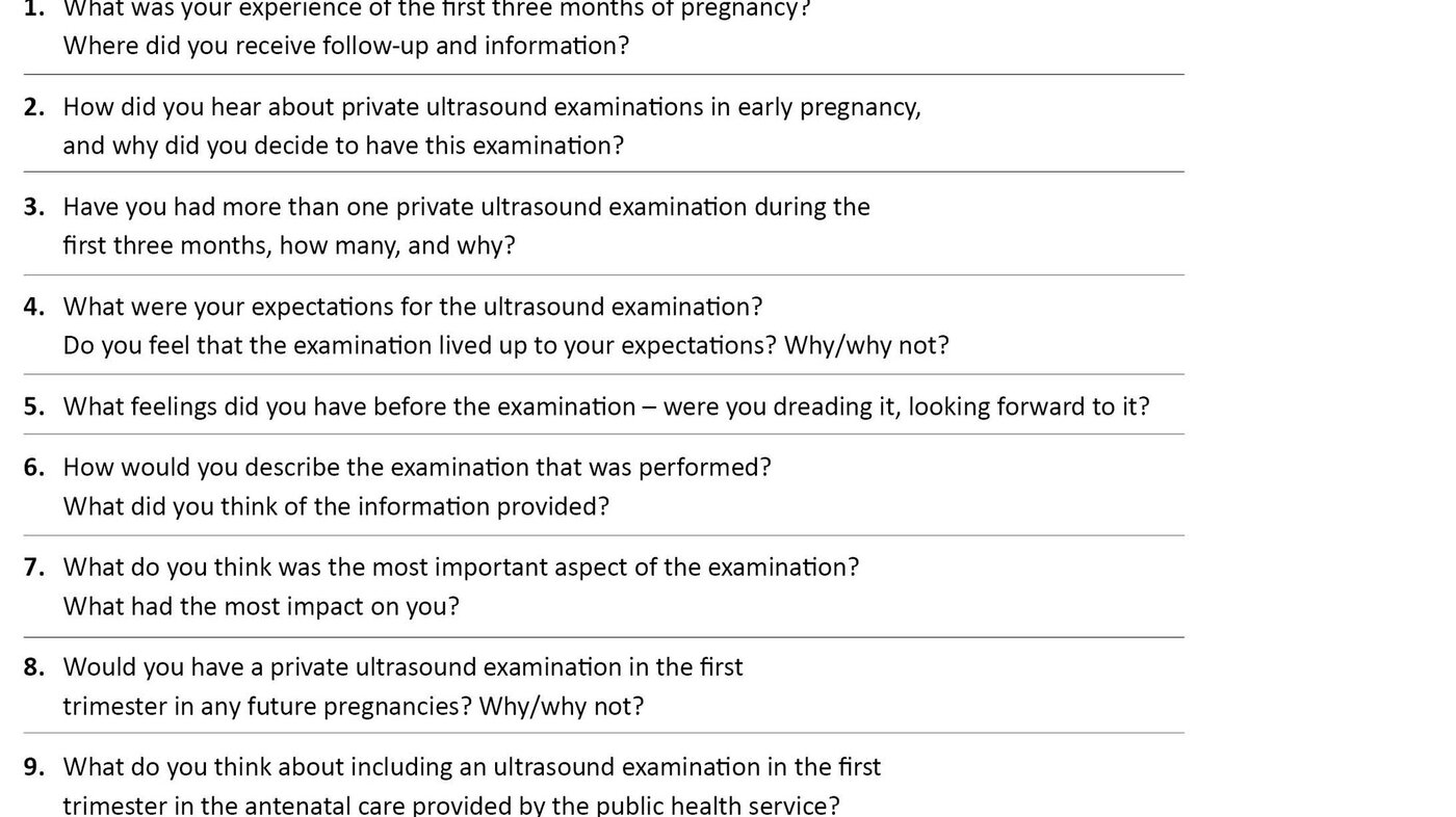 Table 1. Interview guide