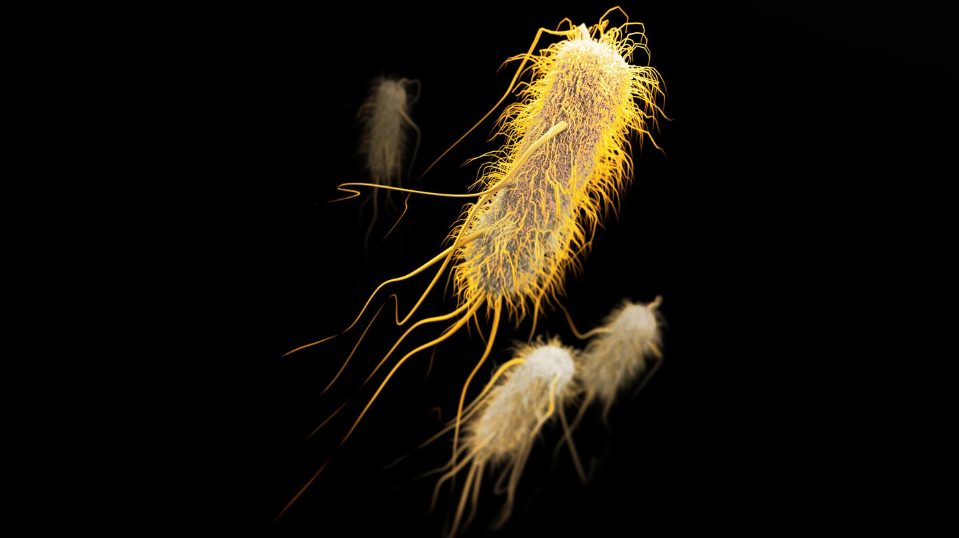 ESBL (extended-spectrum beta-lactamase) Bildet viser ESBL (extended-spectrum beta-lactamase).