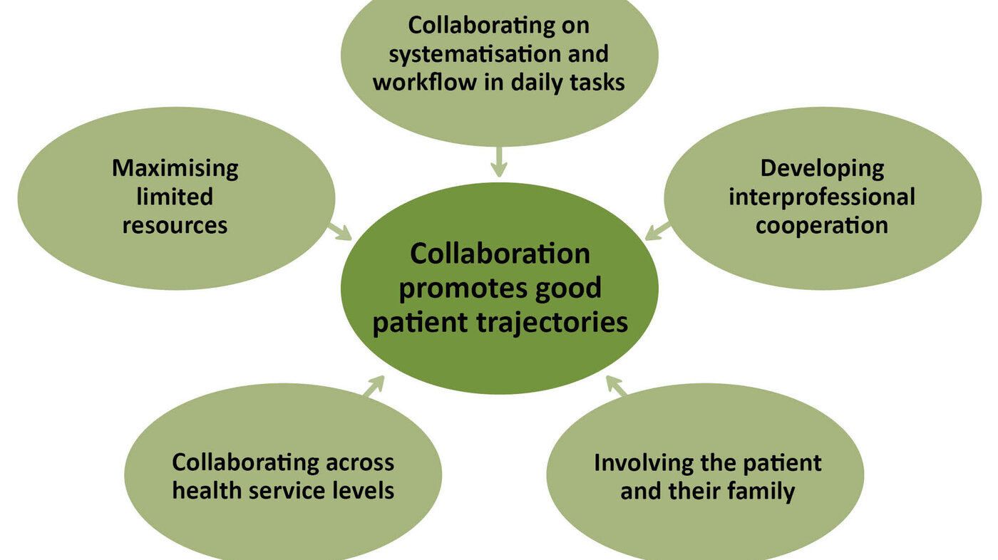 Figure 1. Factors that promote good patient trajectories 