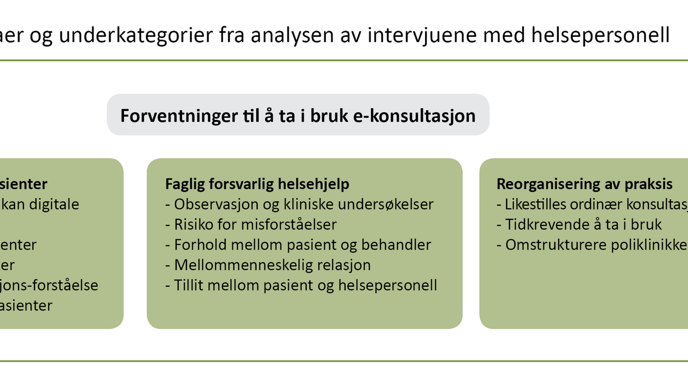 Figur 1. Temaer og underkategorier fra analysen av intervjuene med helsepersonell