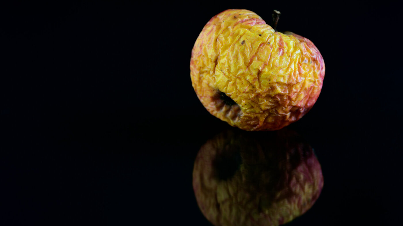 Bildet viser et gammelt skrukkete eple på sort bakgrunn