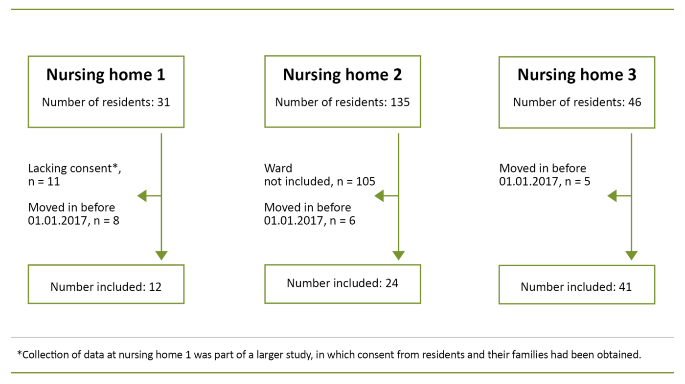 Figure 1. Overview of the recruitment process at the various nursing homes.
