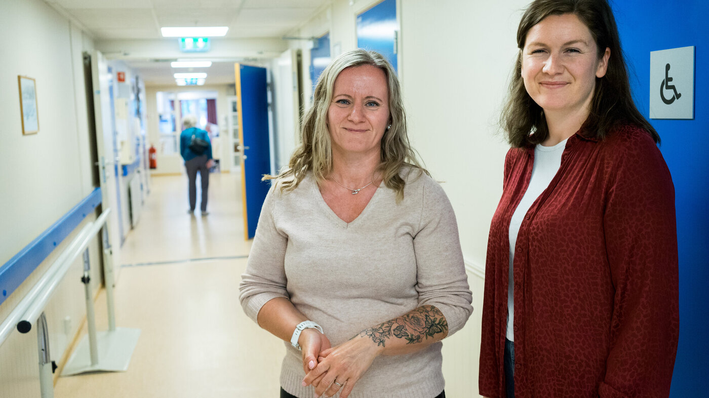 Hvaal og Krogen bildet viser Hvaal og Krogen