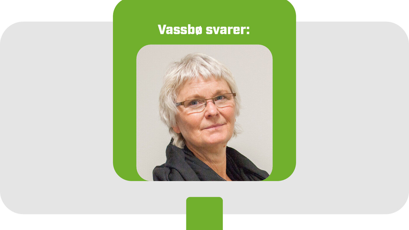 Tove Karin Vassbø