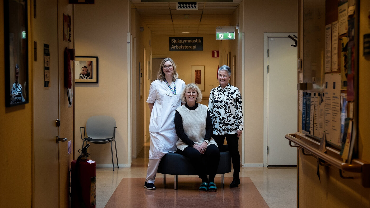 Jordmødre i Sverige Jordmødre i Sverige