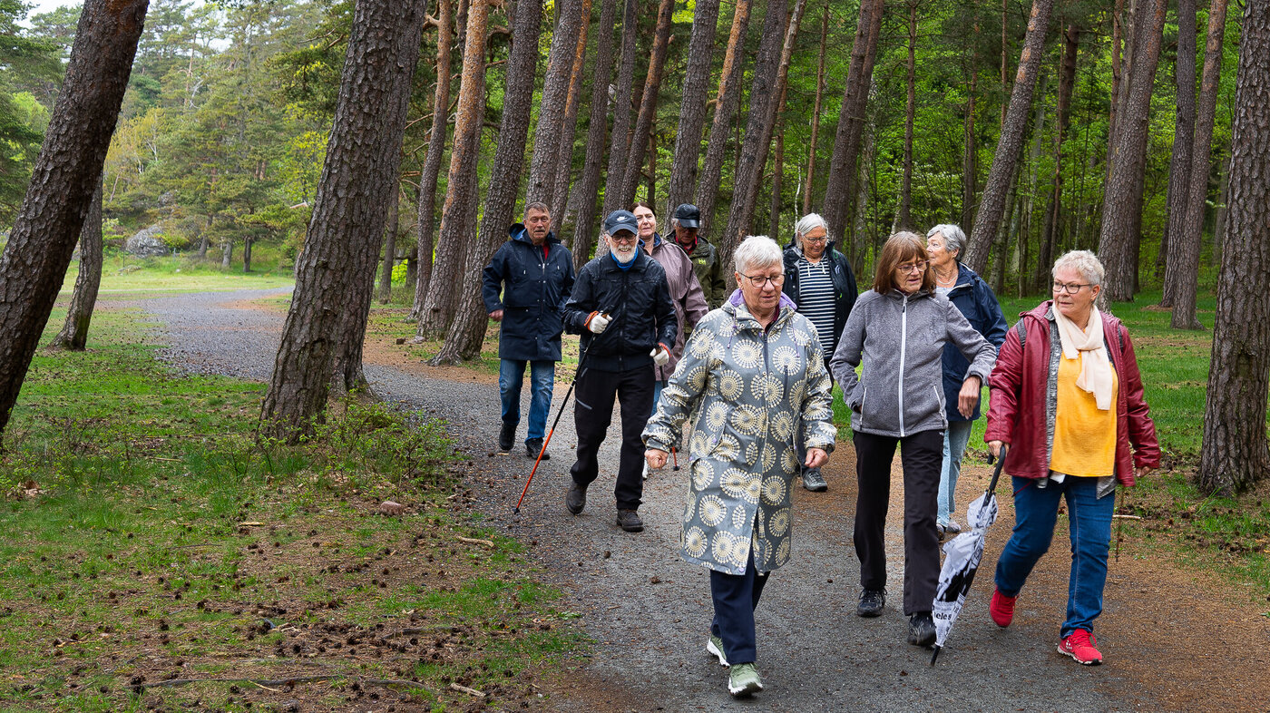 bildet viser turgruppa på Jeløya