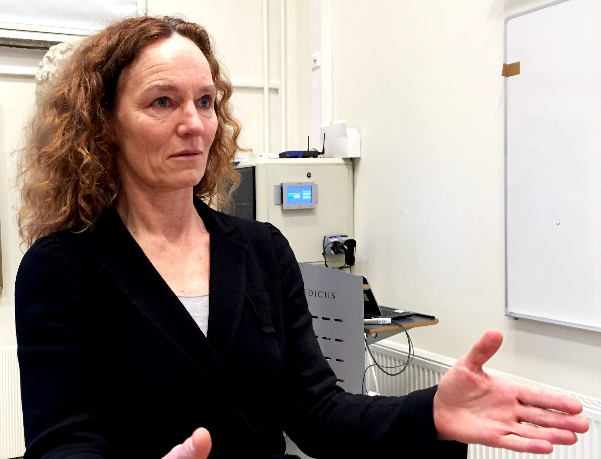Camilla Stoltenberg, direktør ved Folkehelseinstituttet Camilla Stoltenberg, direktør ved Folkehelseinstituttet