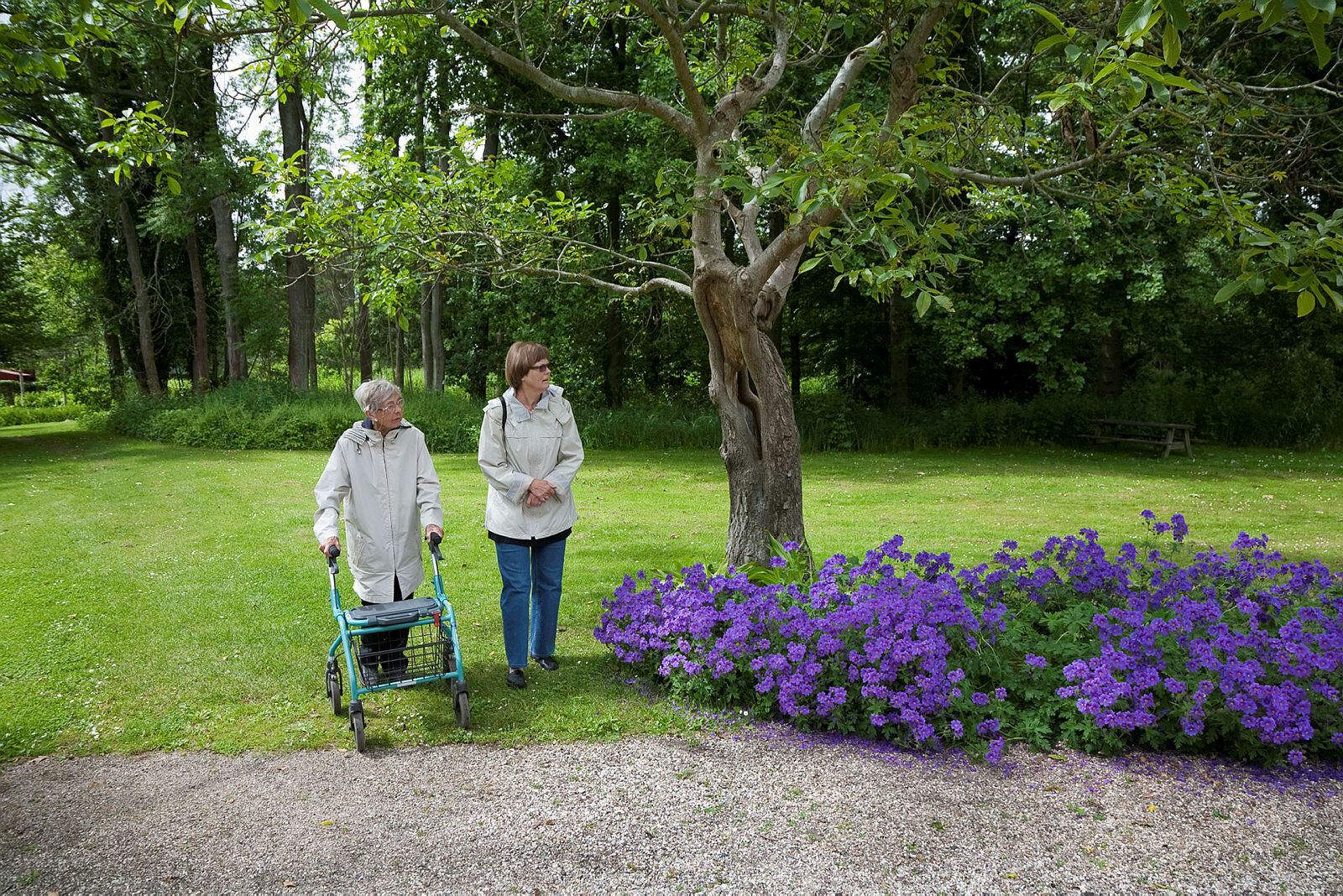 Eldre på sykehjem på tur i naturen Bildet viser en eldre dame med rullator som er på tur i en hage med en yngre dame.