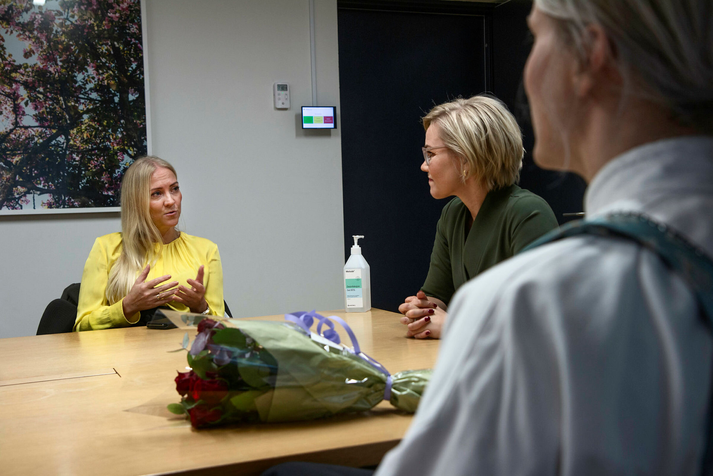 AKS-sykepleiere NSF-leder Lill Sverresdatter Larsen og helseminister Ingvild Kjerkol