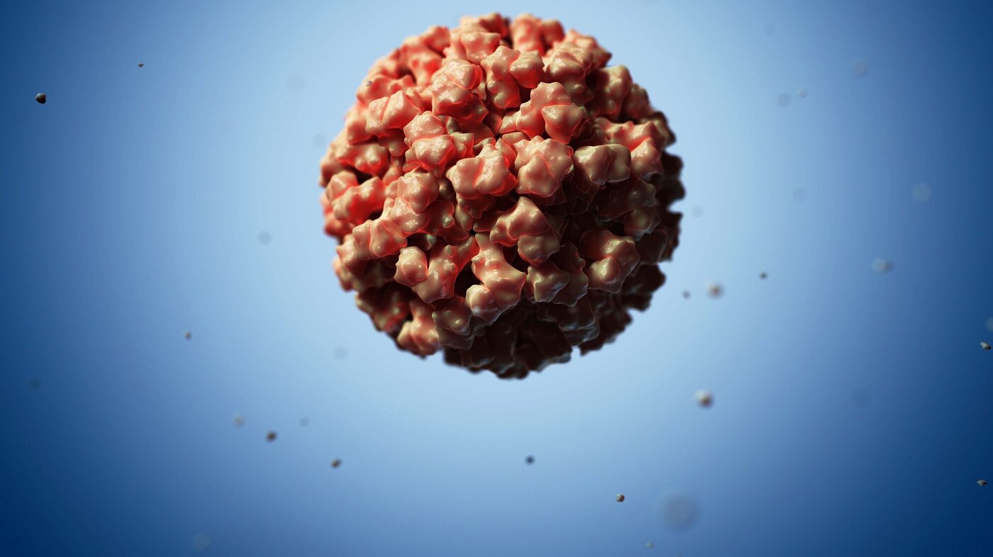 Bildet viser en partikkel av norovirus, fremstilt på datamaskin.