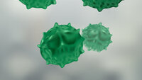 Bildet viser sykdomsfremkallende virus eller bakterier