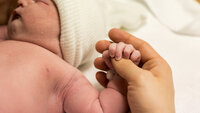 Bildet viser en nyfødt baby.