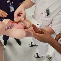 Studenter øver på anatomi ved hjelp av dukker