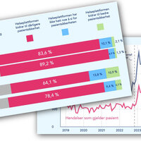 Bildet viser grafer om Helseplattformen